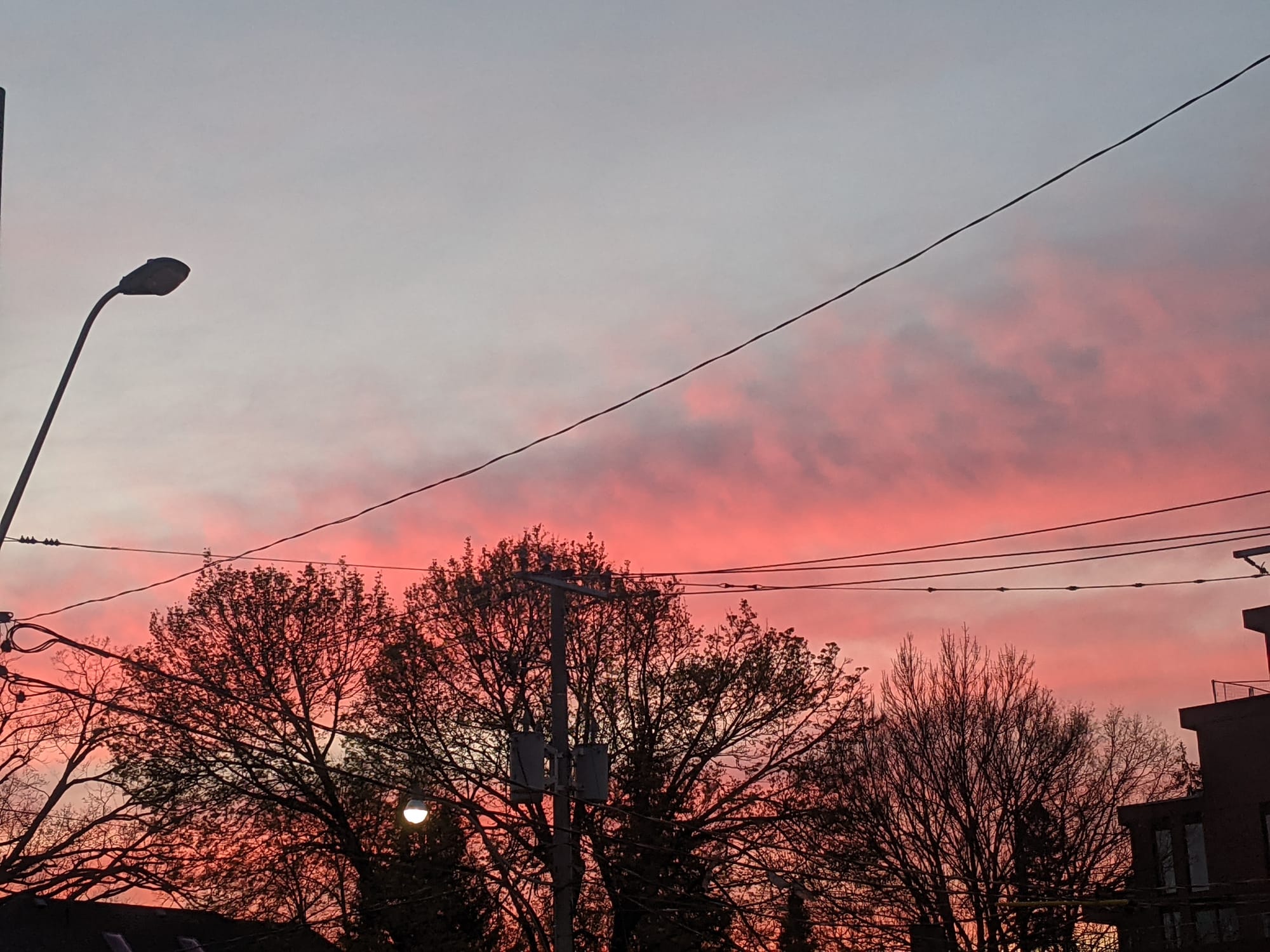 dark silhouettes of trees and overhead wires against a thick clouds colored pink with the setting sun