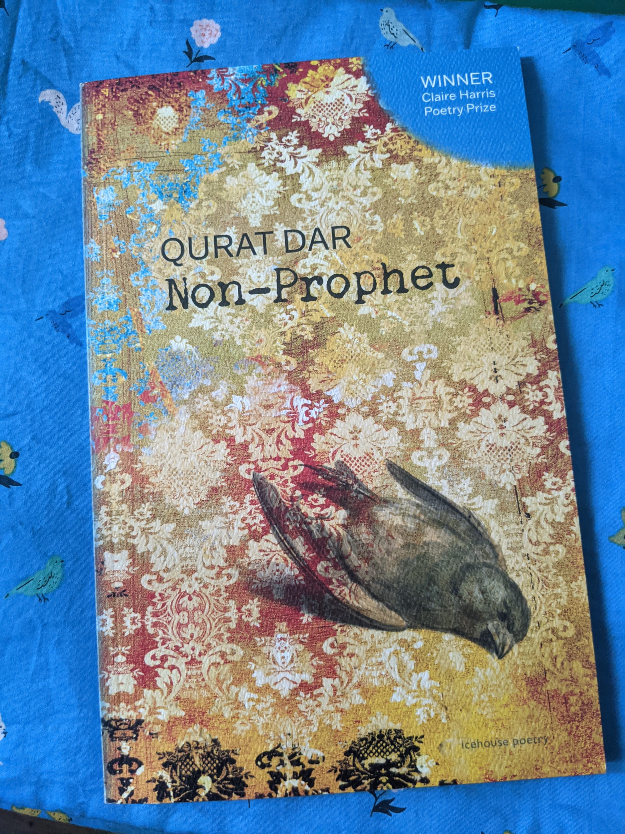 Print copy of Qurat Dar's Non-Prophet poetry collection featuring intricate gold tiles with blue and red tints and a grey shades crow on the front cover, released this week, Icehouse Poetry, photo by Kadir