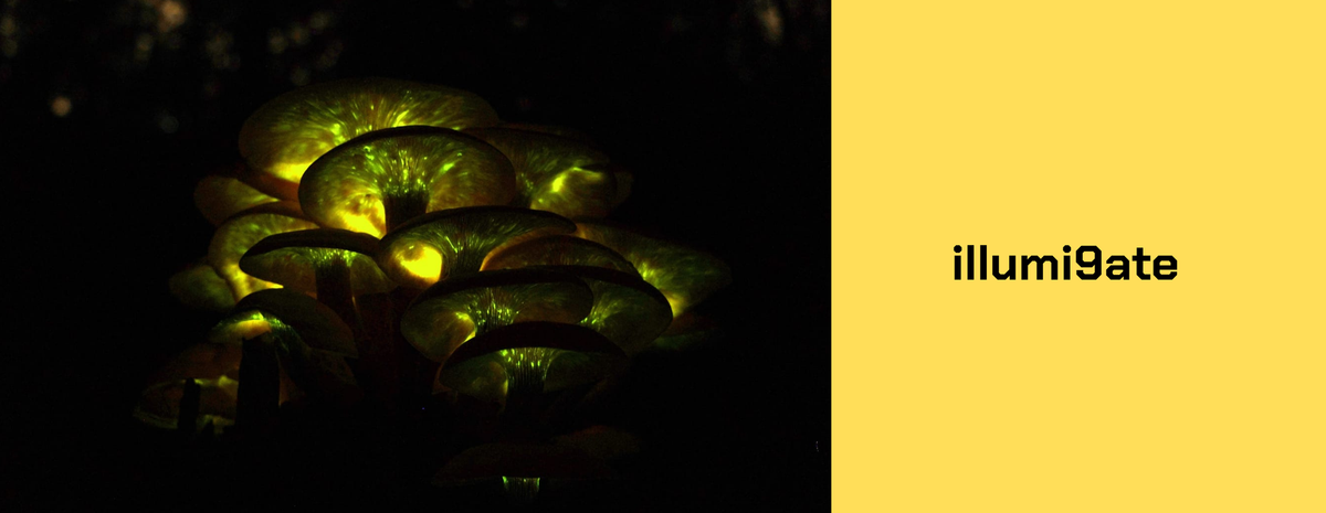 waitlist for illumi9ate